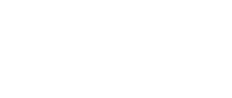 TeachWiz
